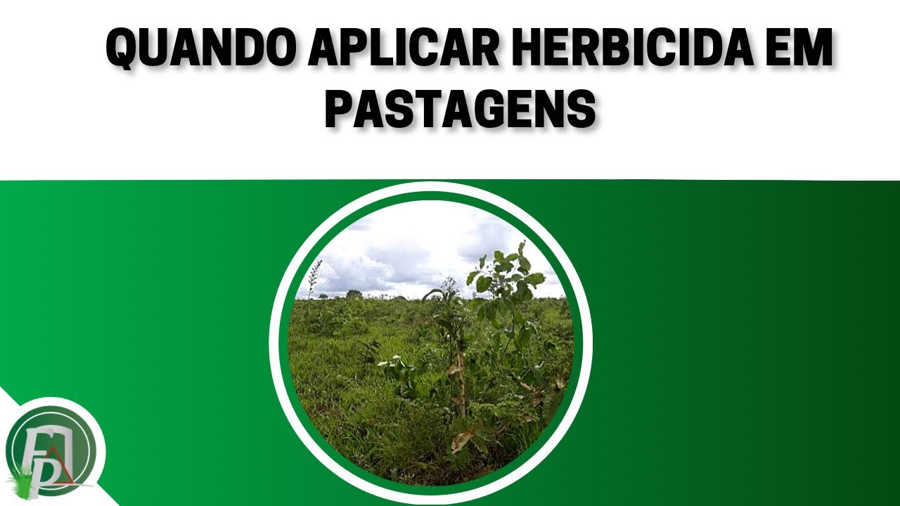 QUANDO DEVO APLICAR HERBICIDA EM PASTAGENS