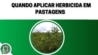QUANDO DEVO APLICAR HERBICIDA EM PASTAGENS