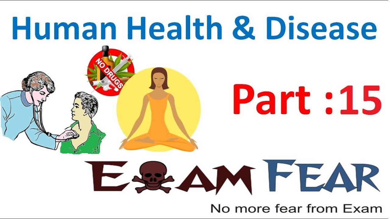 Biology Human Health & Diseases part 15 (Active & Passve Immunity, Humoral & CMI) class 12 XII