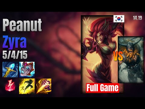 Peanut Jungle Zyra vs Olaf lol KR solo rank Full Game 14.19