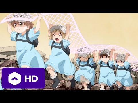 Cells at Work! 2nd Season - English Subbed Trailer