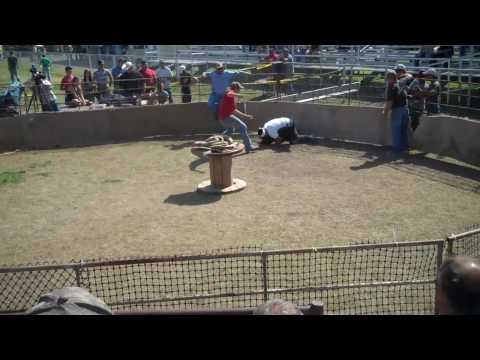 Wild Hog Catching Festival in Sabinal, TX
