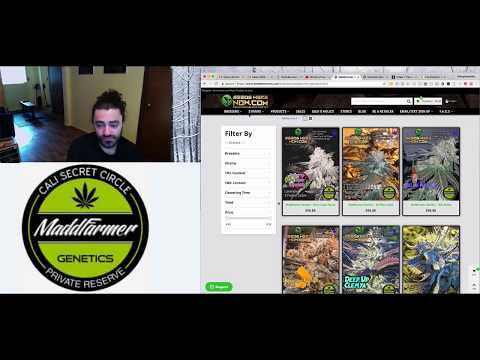 Breeder Interview: Madd Farmer Genetics (Purple Strains)
