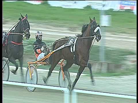 Trotto 26/11/2017 - 3ª corsa