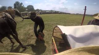2015 National Chapionship Chuckwagon Races, Big mule champions, Southern Style Mule Co.