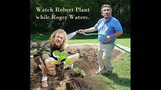 Robert Plant   8:05