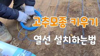 열선 설치하는법 (고추모종 키우기)