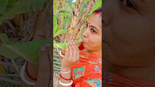 Download lagu flute(বাঁশি)|how to make flute(বাঁশি)by banana leave🪈#flute mp3 Download lagu flute(বাঁশি)|how to make flute(বাঁশি)by banana leave🪈#flute mp3