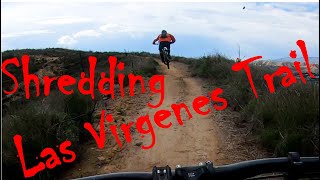 Shredding Las Virgenes Trail