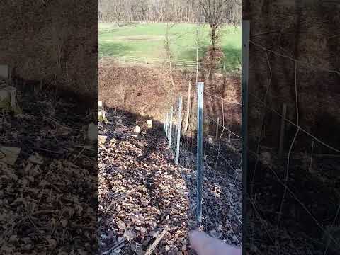 An freie Wege für das Rehwild denken!