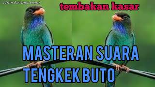 Download lagu download mp3 suara masteran burung TENGKEK BUTO gacor mp3