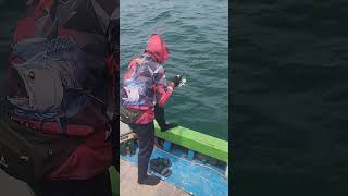 Download lagu Salam Joran melengkung #shortsviral #fishing #mancingceria #shortvideo #belajarmancing mp3