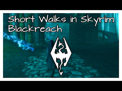 Short Walks in Skyrim: Blackreach