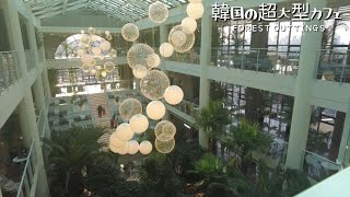 まるで神秘的な森の中にいるような不思議なカフェ「仁川のソンドに新しくできたForest Outtings (フォレストアウッティンス)포레스트 아웃팅스」