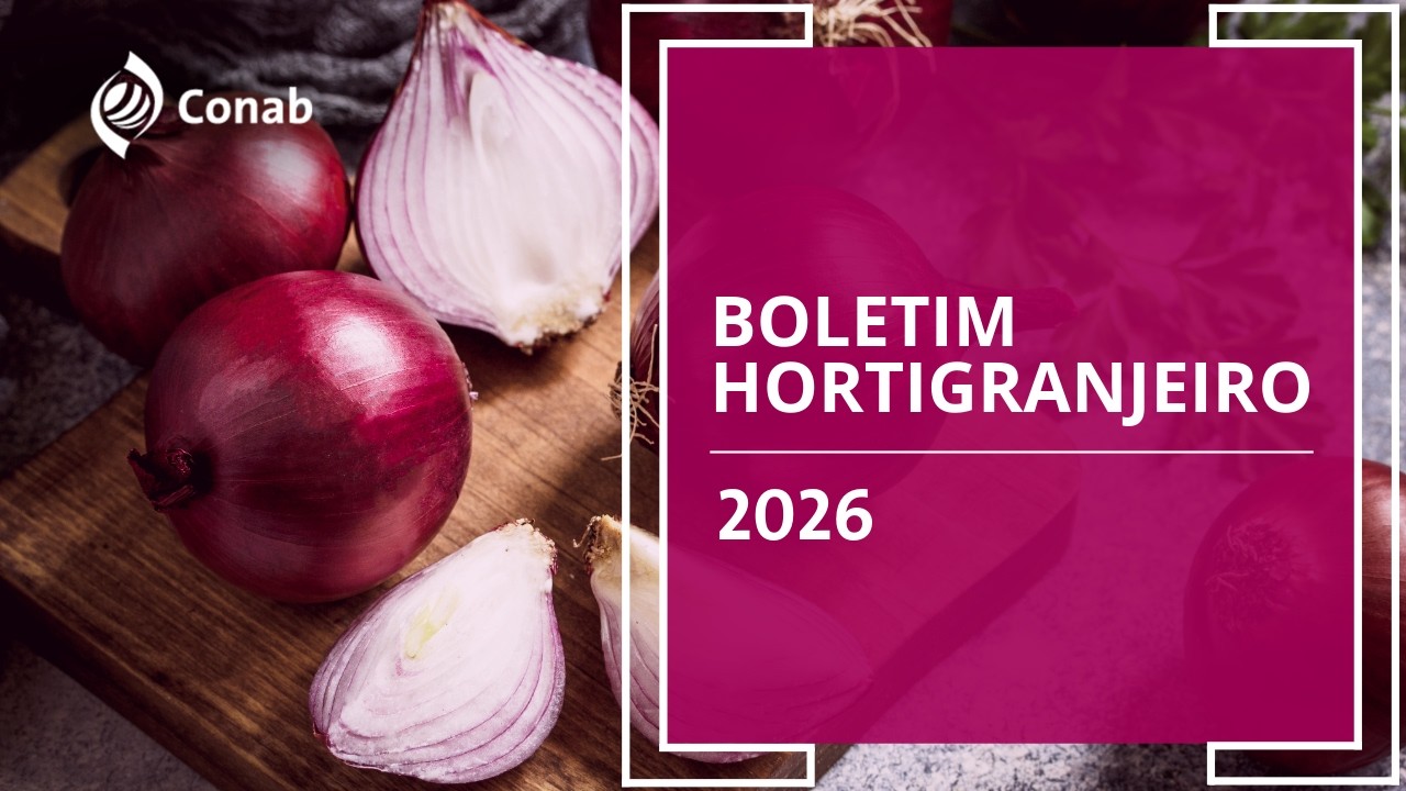 10º Boletim Prohort