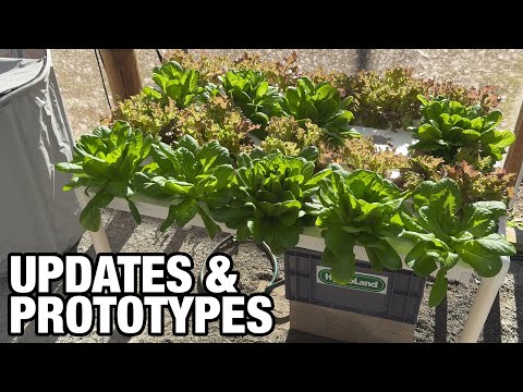 Updates: System Prototypes, Deep Flow Technique Strawberries, Hooch SBS Hive (Side by Side Hive)