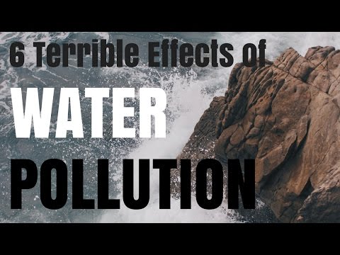 6 Terrible Effects of Water Pollution