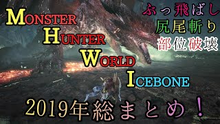【MHWI】 気持ちいい瞬間、アイスボーン編