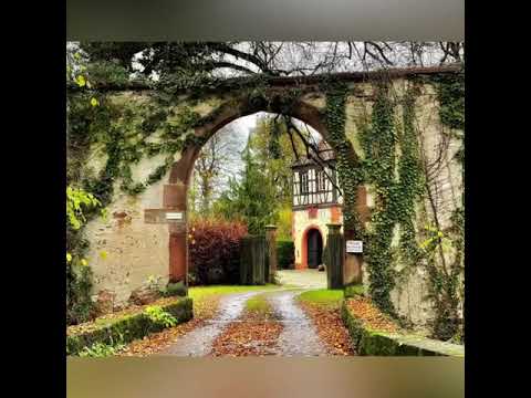 SCHATTHAUSEN KLEINE GASSI-RUNDE AM MITTAG🙋🏼‍♀️🐶