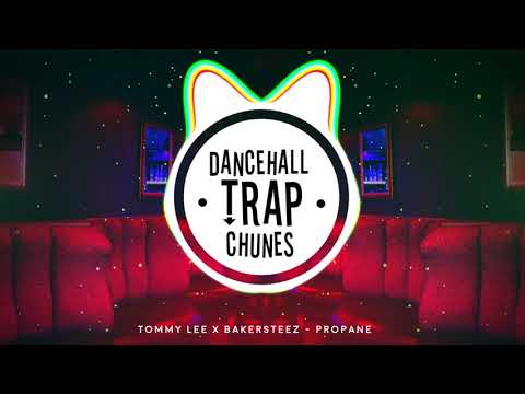 Tommy Lee Ft Bakersteez - Propane