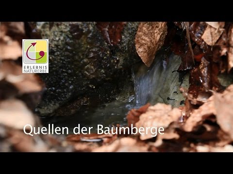 Quellen der Baumberge - Erlebnis Naturerbe im Kreis Coesfeld