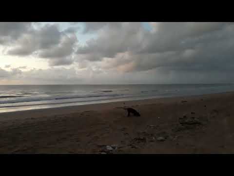 Cacha pregos Vera Cruz Bahia Brasil bom dia 