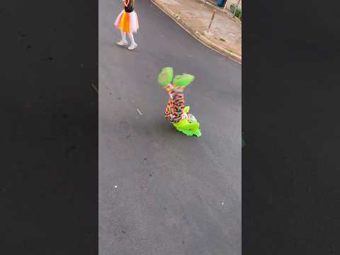 Palhacinho se jogando no passinho no Trenzinho da Alegria! 🚂 #shorts