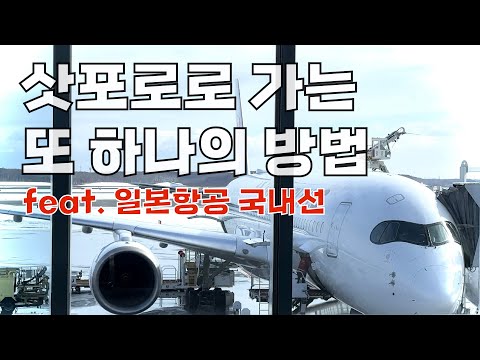 [JAR - Biz] 항덕에게 비즈 경유가 더 좋아!(일본편)
