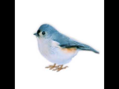 SOPHIE - Mutual Friends (feat. HAIM)