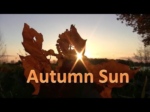Autumn sun [Relaxing Piano Music]