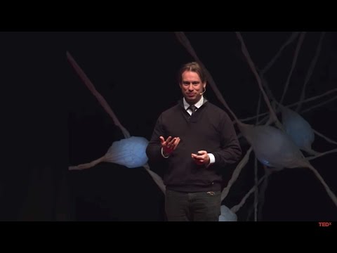 Curiosity and Cinema: The Story of “The Eagle Huntress” | Otto Bell | TEDxWakeForestU