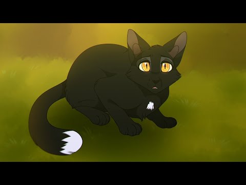Ravenpaw - Shut eye - warriors cats