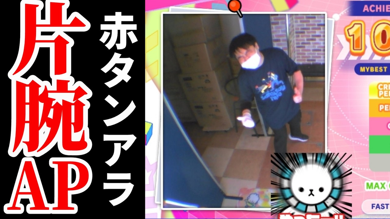 【片腕AP】 Turn around ST EXPERT 片腕 AP 左右ミラー 【直撮りmaimai】 (Player:Anthoney)