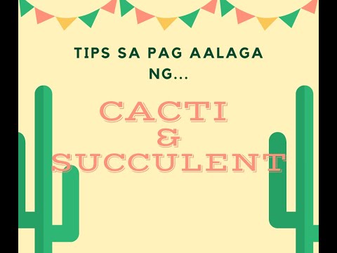 Assorted garden plants at Q.C. Circle/"TIPS"sa pagaalaga ng cacti and succulent: