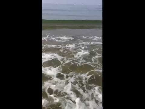 HEILKRAFTÜBERTRAGUNG durch ANITA GROGG zur Auflösung von Angstenergien auf allen euren Ebenen