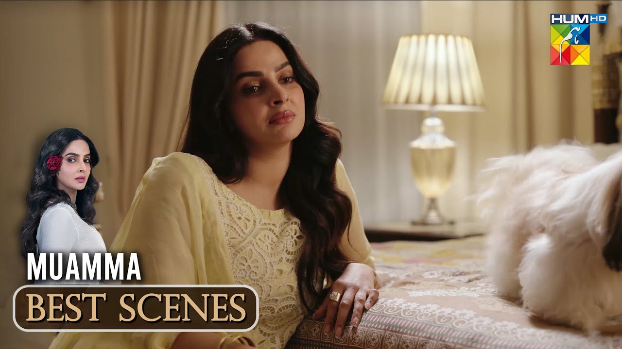 Muamma Episode 01- Top Moment  #Muamma #sabaqamar - Hum TV