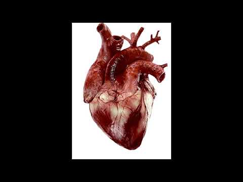 WEYZ FT KHALIFA Y CAISER - CORAZÓN DE ACERO