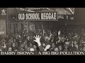 Barry Brown - A Big Big Pollution (Official Audio) | Jet Star Music