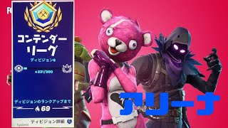 アリーナする！