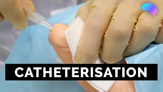 Catheterisation | OSCE Guide | UKMLA | CPSA | PLAB 2