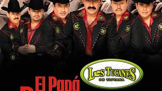 el papa delos pollitos los tucanes de tijuana el papa delos pollitos los tucanes de tijuana