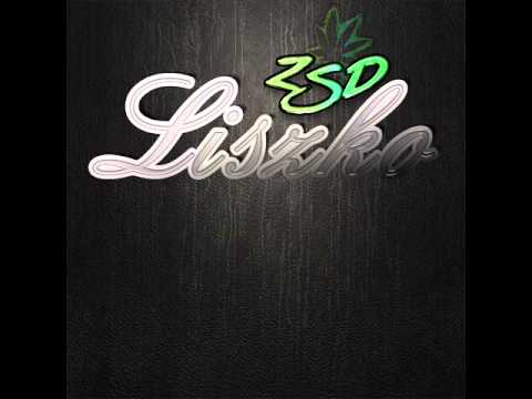 LiszkoZSD - Dla Palących Braci