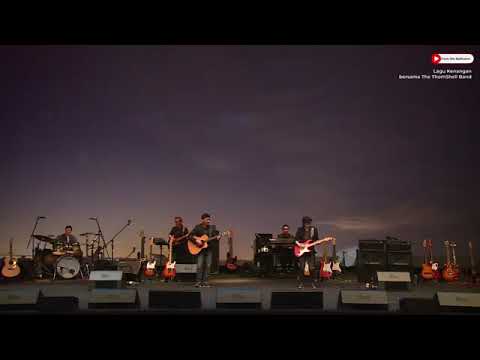 Theme For Young Lovers - The Shadows (cover)