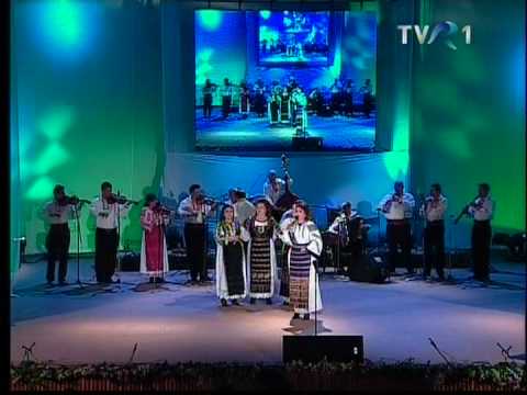 Ansamblul Muresul - Muresencele