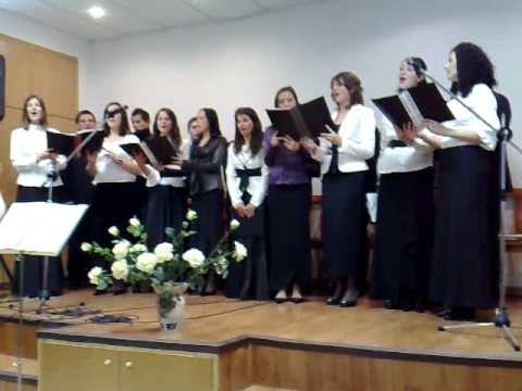 Orice zi e o noua cale