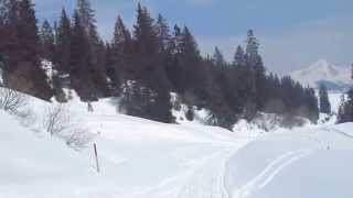 preview picture of video 'Ski-chien 66: Saskia descend le col de la Croix, direction Les Diablerets'