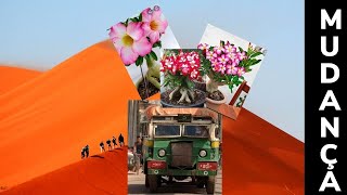 Incio da mudana, reforma, novo cenrio pela frente.