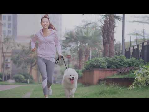 Xiaomi Mijia Aqara S2 Smart Door Lock Xiaomi Smart Home