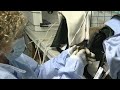 Saving the bats of winter