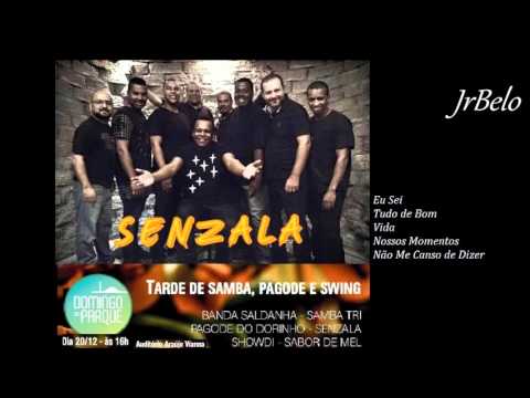 Senzala Cd Completo Domingo no Parque 2015 JrBelo
